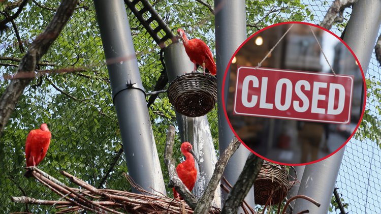 Foto: TobiinNature/Shutterstock.com | © Foto: TobiinNature/Shutterstock.com Foto: TobiinNature/Shutterstock.com | © Foto: TobiinNature/Shutterstock.com