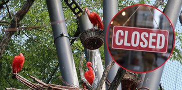Foto: TobiinNature/Shutterstock.com | © Foto: TobiinNature/Shutterstock.com Foto: TobiinNature/Shutterstock.com | © Foto: TobiinNature/Shutterstock.com
