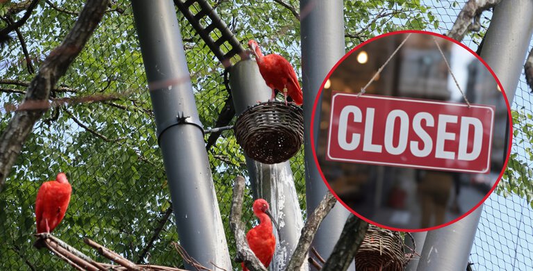 Foto: TobiinNature/Shutterstock.com | © Foto: TobiinNature/Shutterstock.com