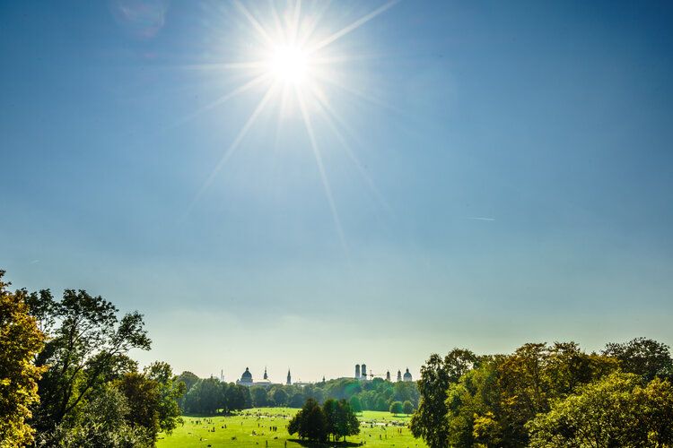 Foto: streetflash/Shutterstock.com