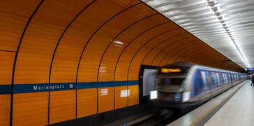 Foto: Frank Lambert/Shutterstock.com | © Foto: Frank Lambert/Shutterstock.com