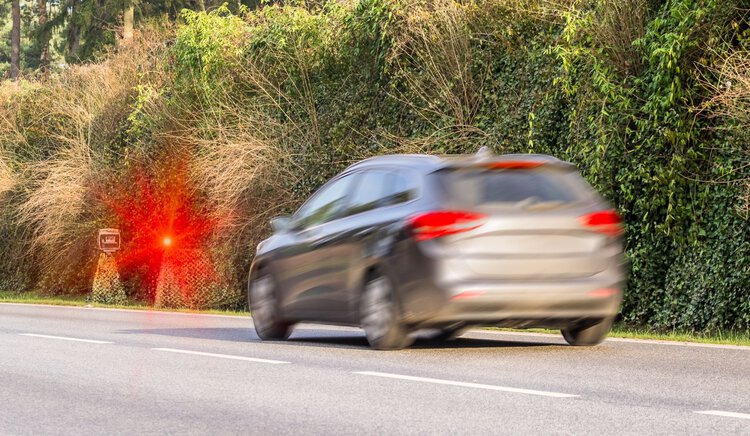 Foto: TimSiegert-batcam/Shutterstock.com