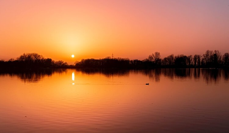 Foto: Martin Erdniss/Shutterstock.com