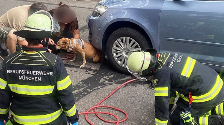 © Foto: Feuerwehr München