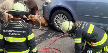 © Foto: Feuerwehr München