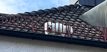 Foto: Feuerwehr München | © Foto: Feuerwehr München