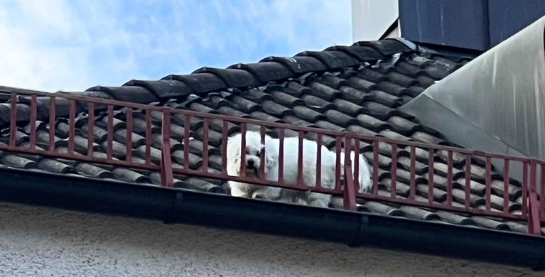 Foto: Feuerwehr München | © Foto: Feuerwehr München