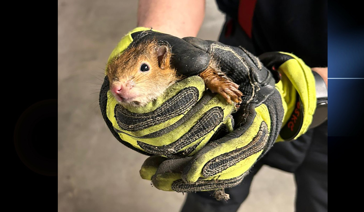 Foto: Berufsfeuerwehr München