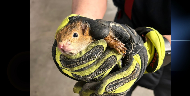 Foto: Berufsfeuerwehr München