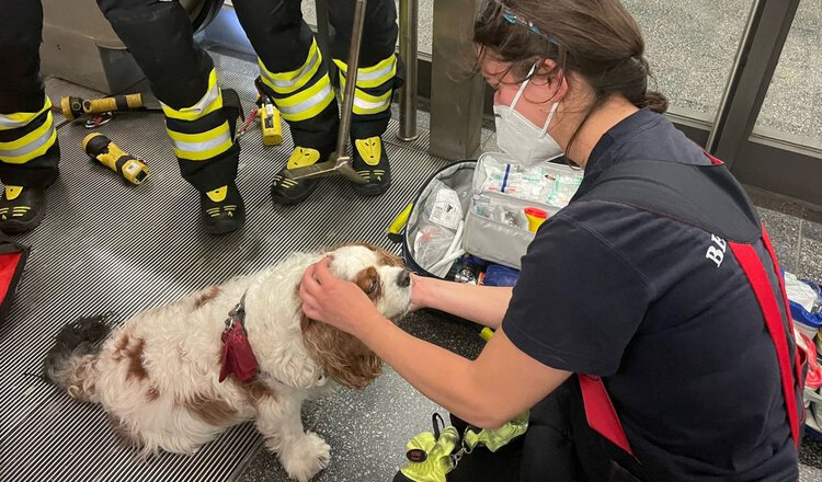 Foto: Berufsfeuerwehr München