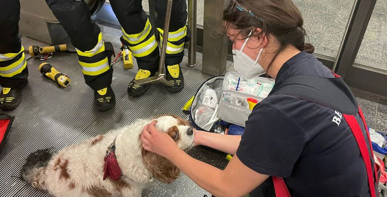 Foto: Berufsfeuerwehr München