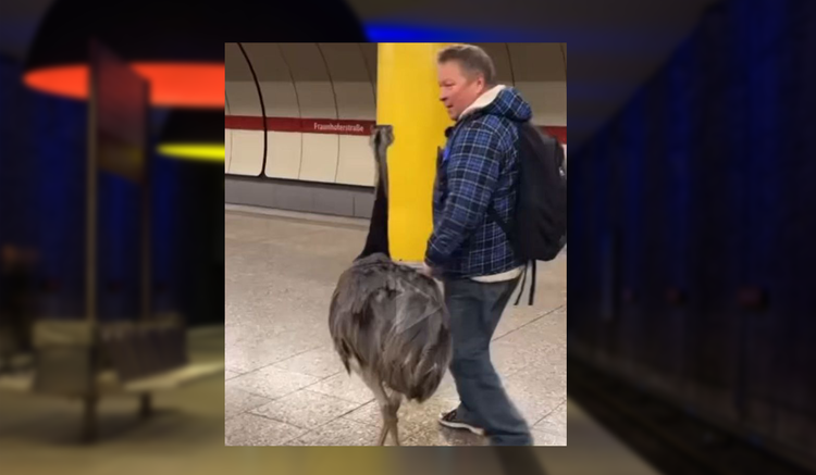 Foto: TikTok/herzlichwillkommenbro