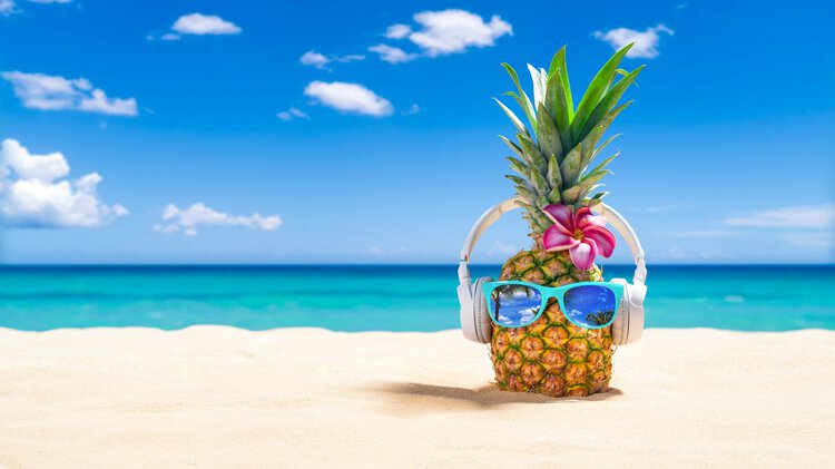 Foto: HT-Pix/Shutterstock.com