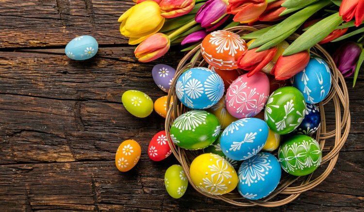 Foto: Jag_cz/shutterstock.com