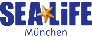 asset_image