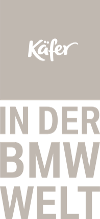 asset_image