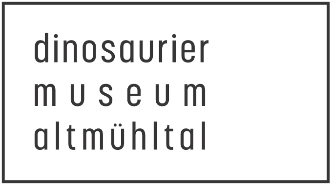 asset_image