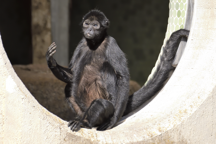 Tierpark Hellabrunn / Gemma Borrell | © Tierpark Hellabrunn / Gemma Borrell