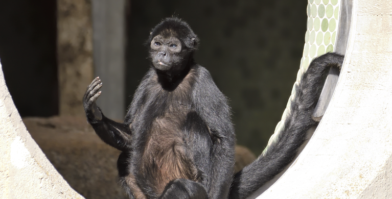 Tierpark Hellabrunn / Gemma Borrell | © Tierpark Hellabrunn / Gemma Borrell