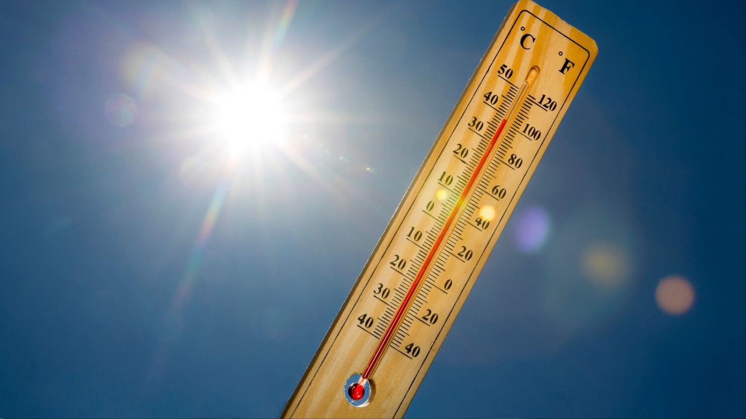 15 Maßnahmen gegen Hitze und Trockenheit: Unterschleißheim bereitet ...