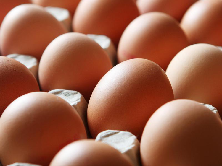 Verseuchte Eier auch in Deutschland? | © Malte Christians