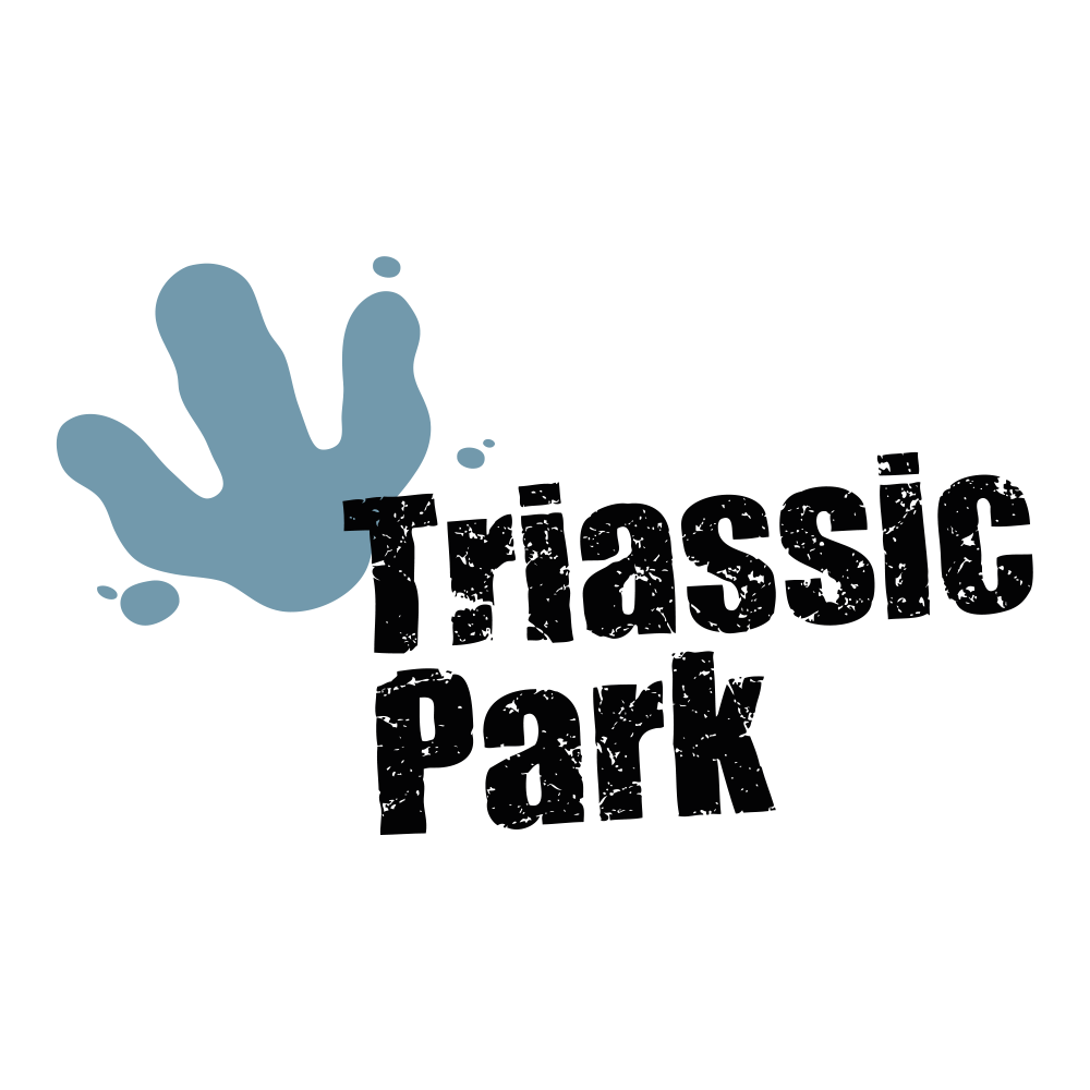 asset_image