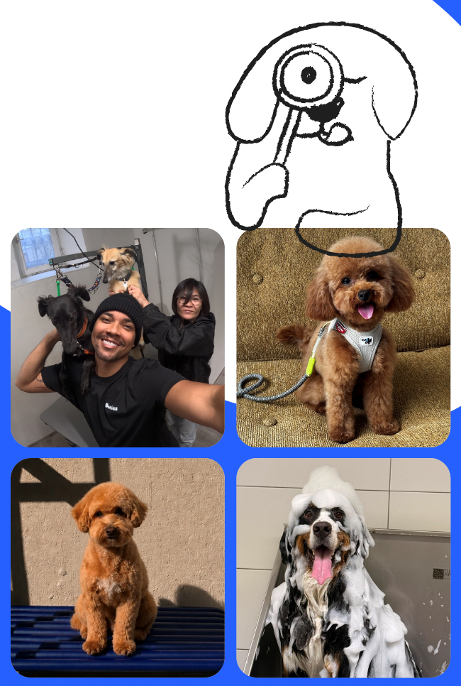 asset_image